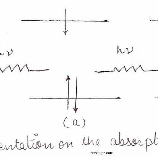 spin orientation