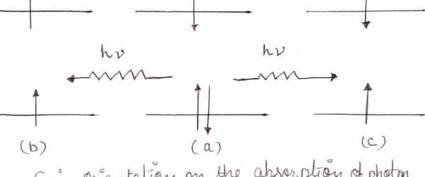 spin orientation