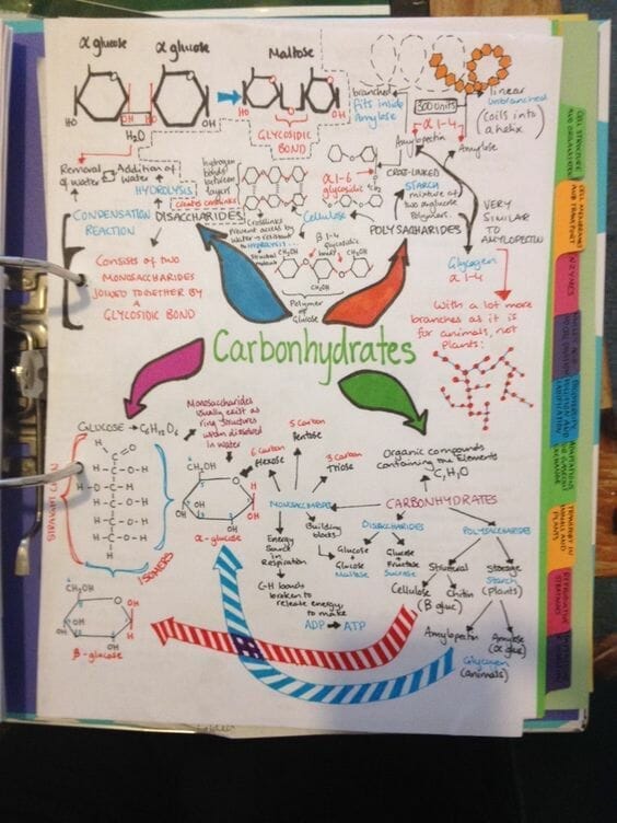 05 chemistry notes