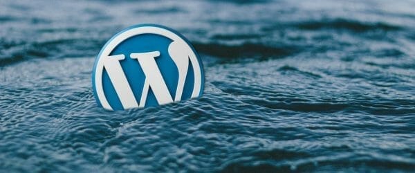 wordpress, water, logo