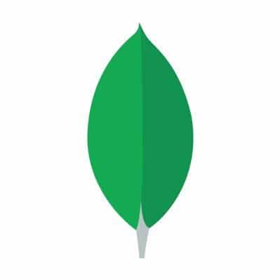 MongoDB Open Source Database