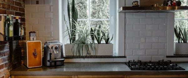 kitchen room with ornamental plants