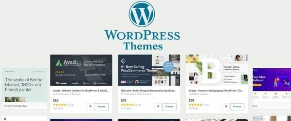 wordpress themes