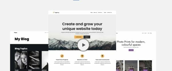 neve wordpress theme