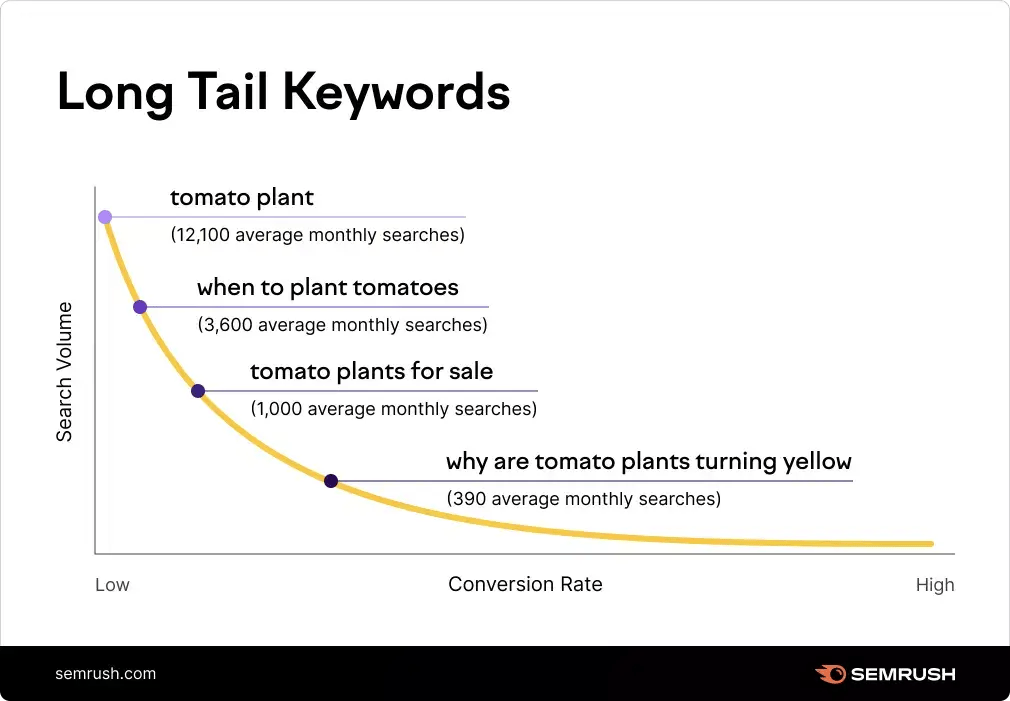 Long tail keywords vs Short tail keywords