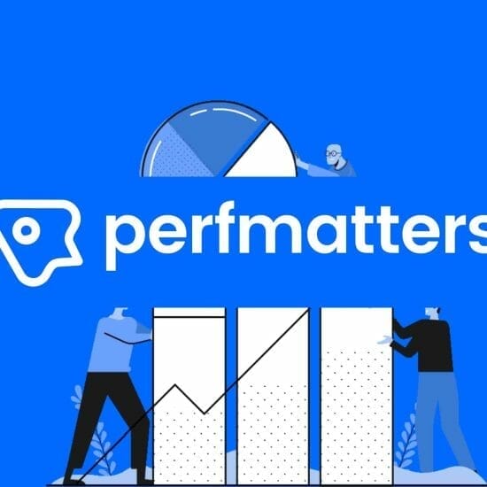 Perfmatters Black Friday Deal