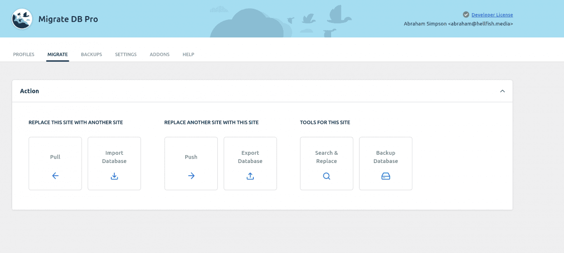 wp migrate db migration options