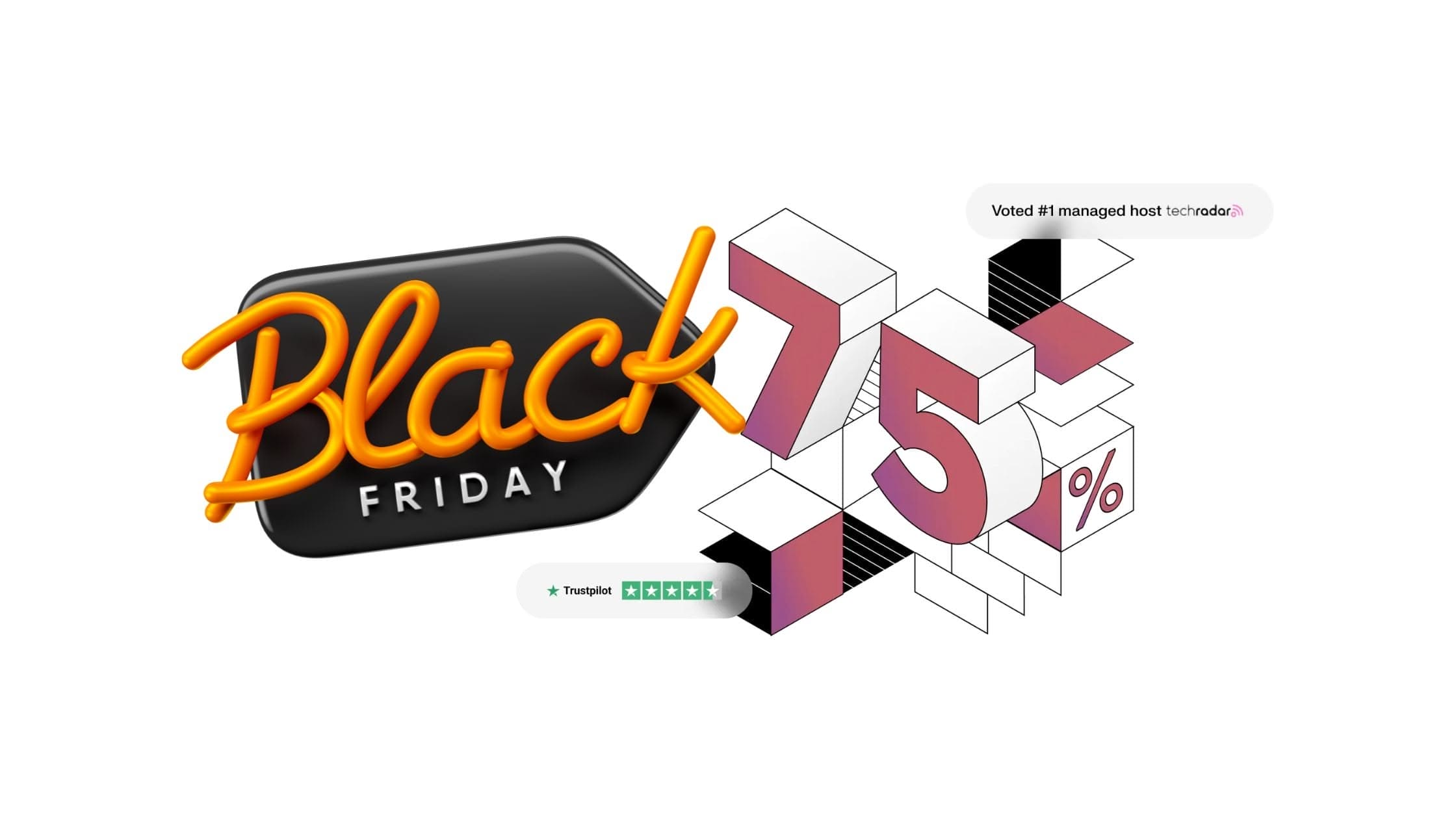 Liquid Web Black Friday Sale