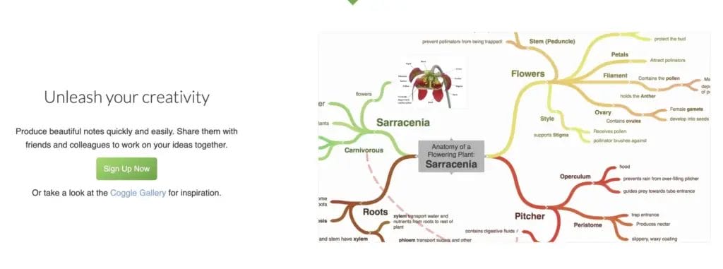 Simple Collaborative Mind Maps Flow Charts Coggle 2024 02 003897