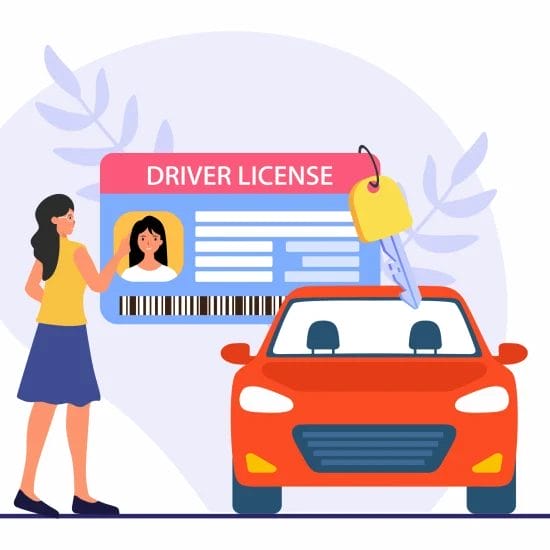 car license design