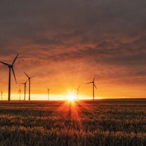 Sunset over wind turbines in field.