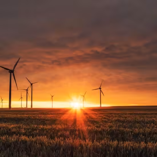 Sunset over wind turbines in field.